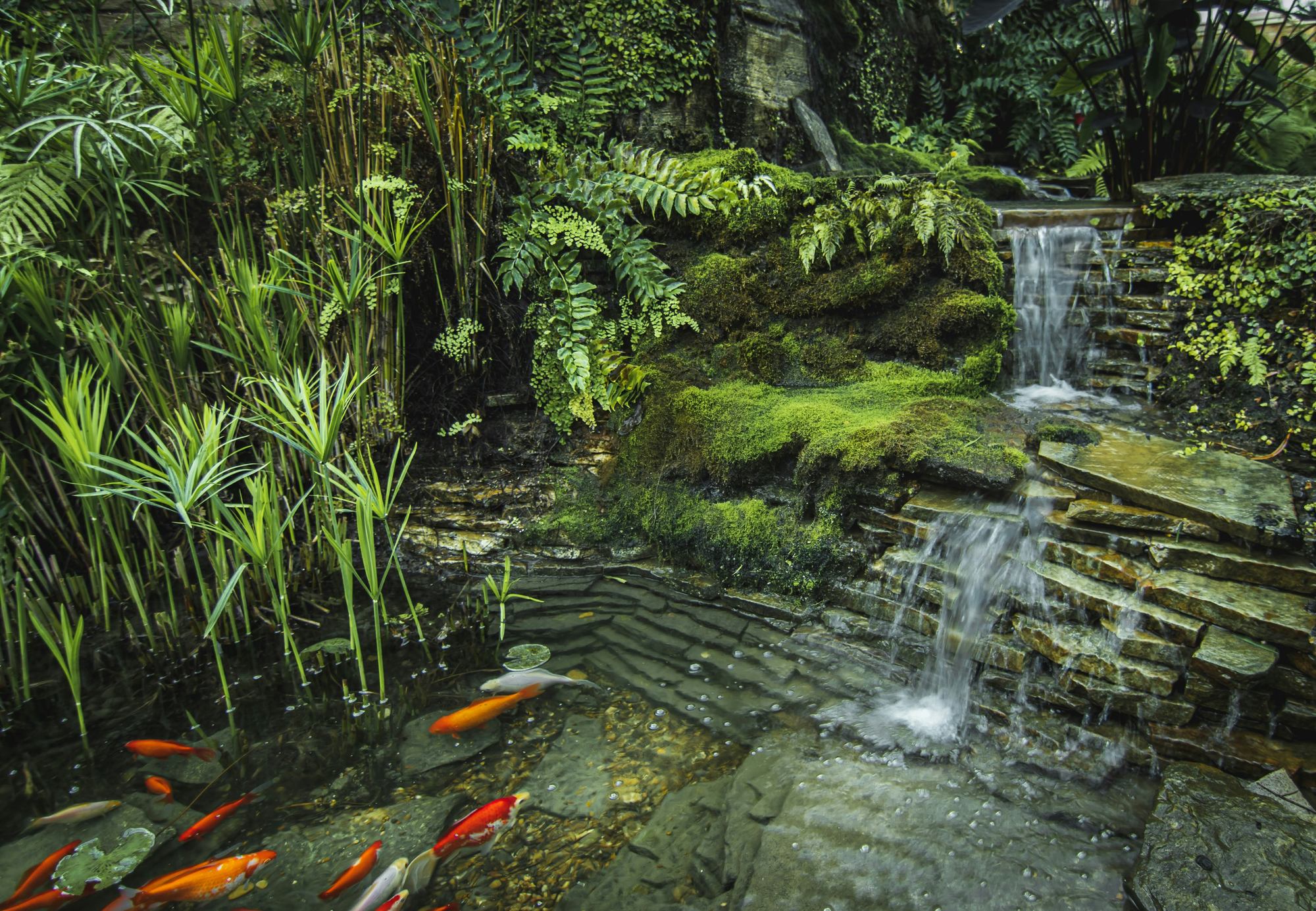 Reasons To Build A Waterfall