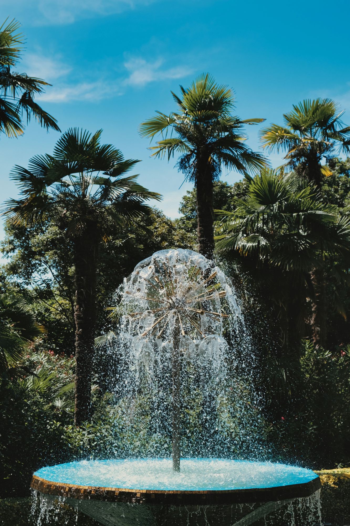 Water Features in Los Angeles