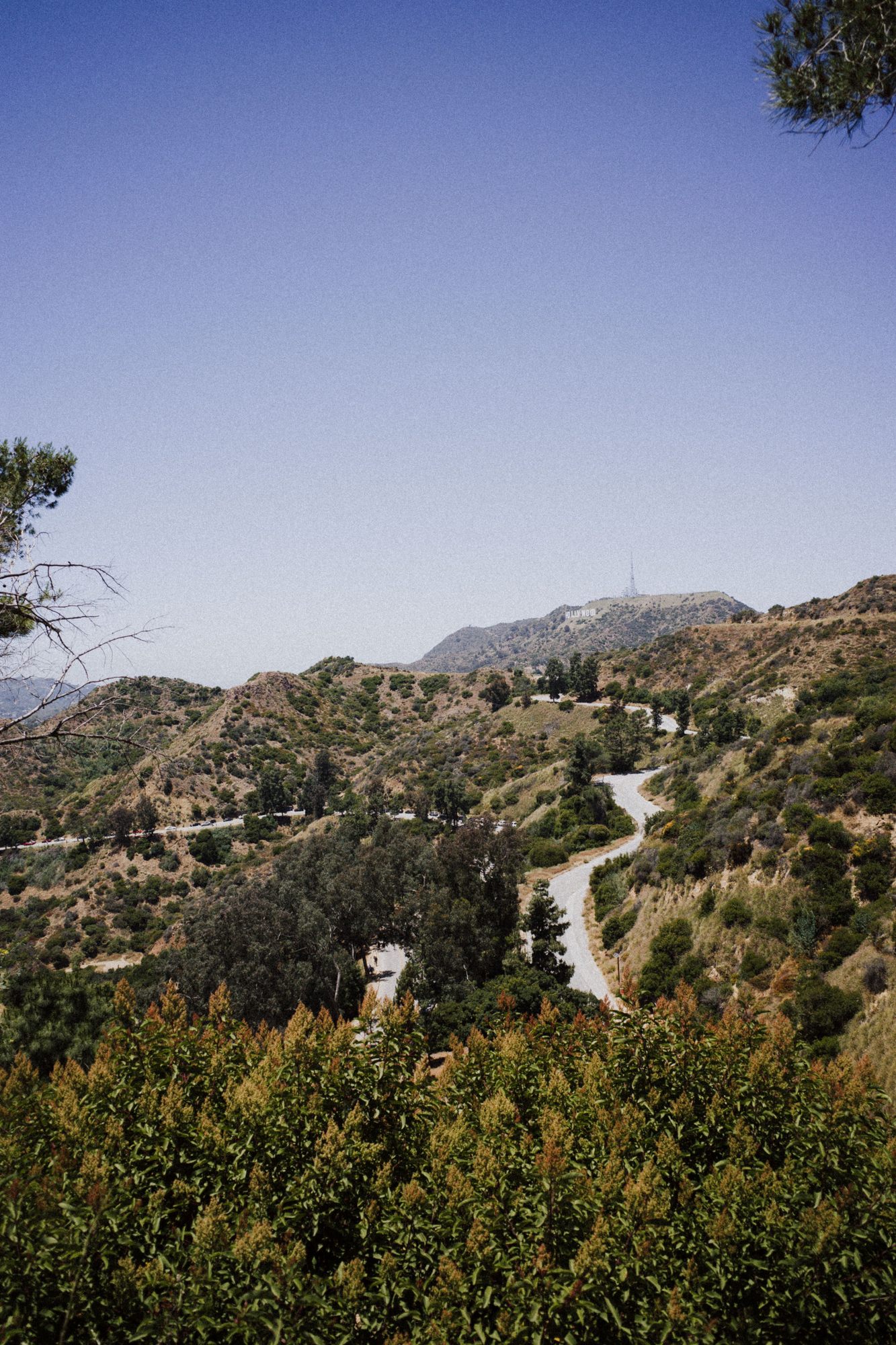 Calabasas Pond And Waterfall Builder