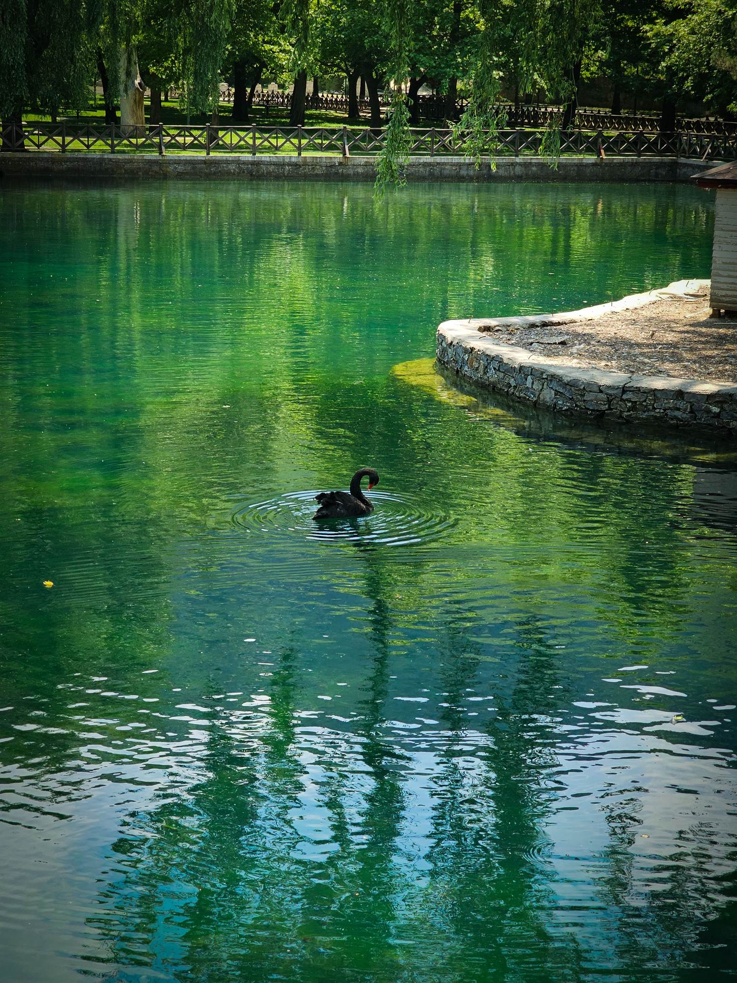 Retention Ponds