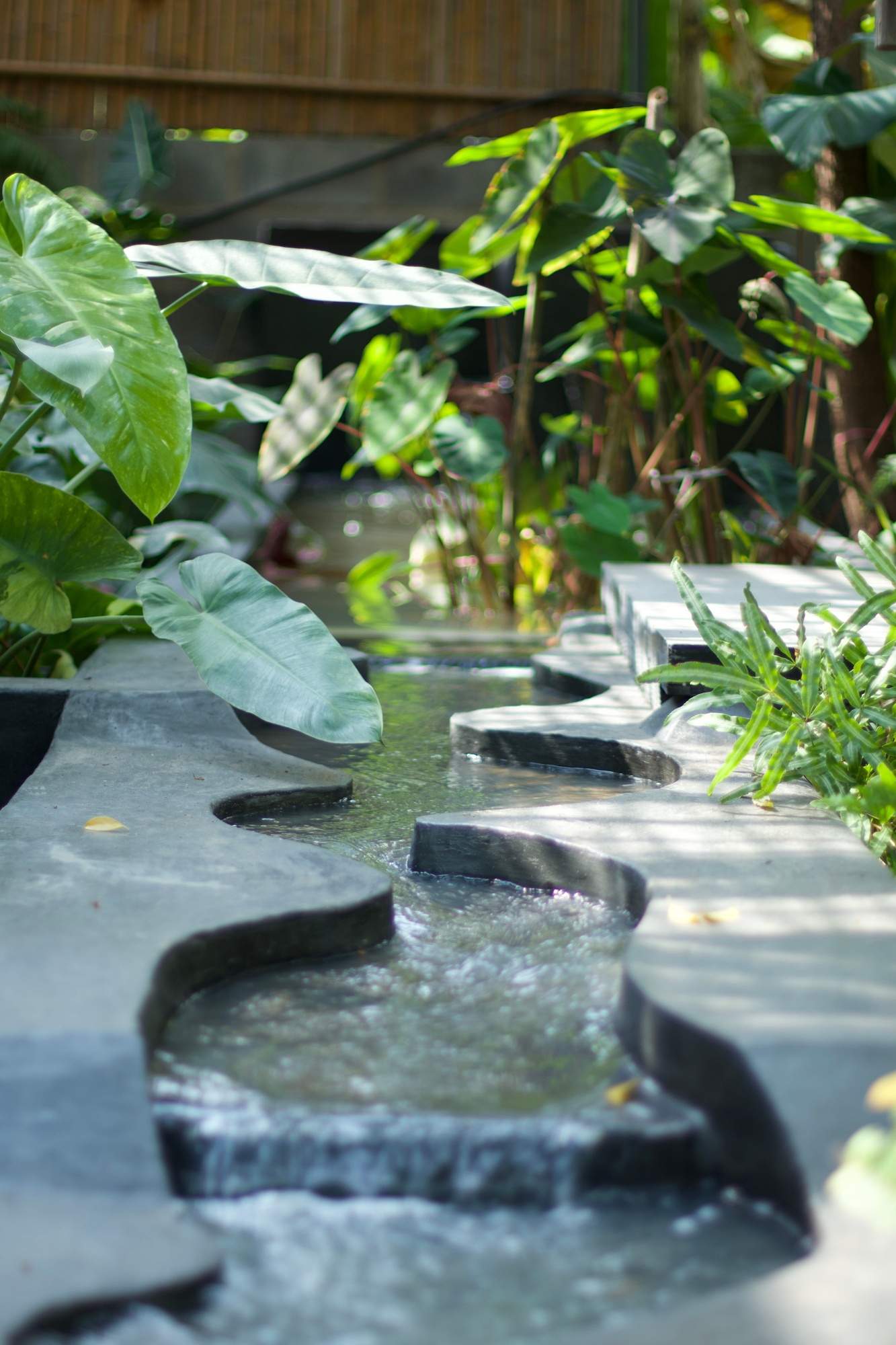 Water Features