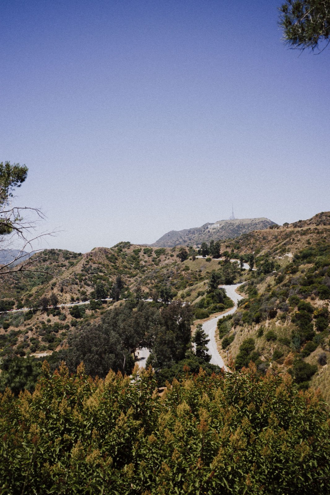 Pond Builder in Calabasas, CA