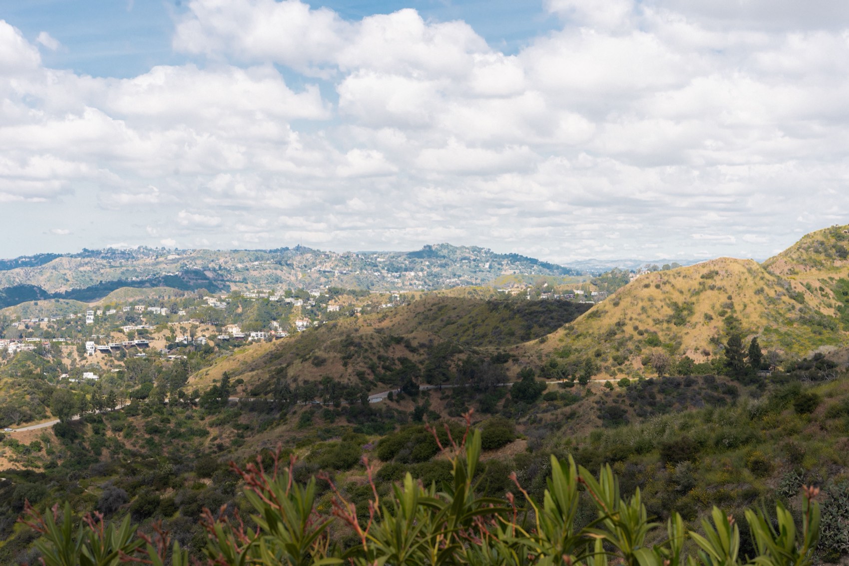 Pond Builder in Hidden Hills, CA