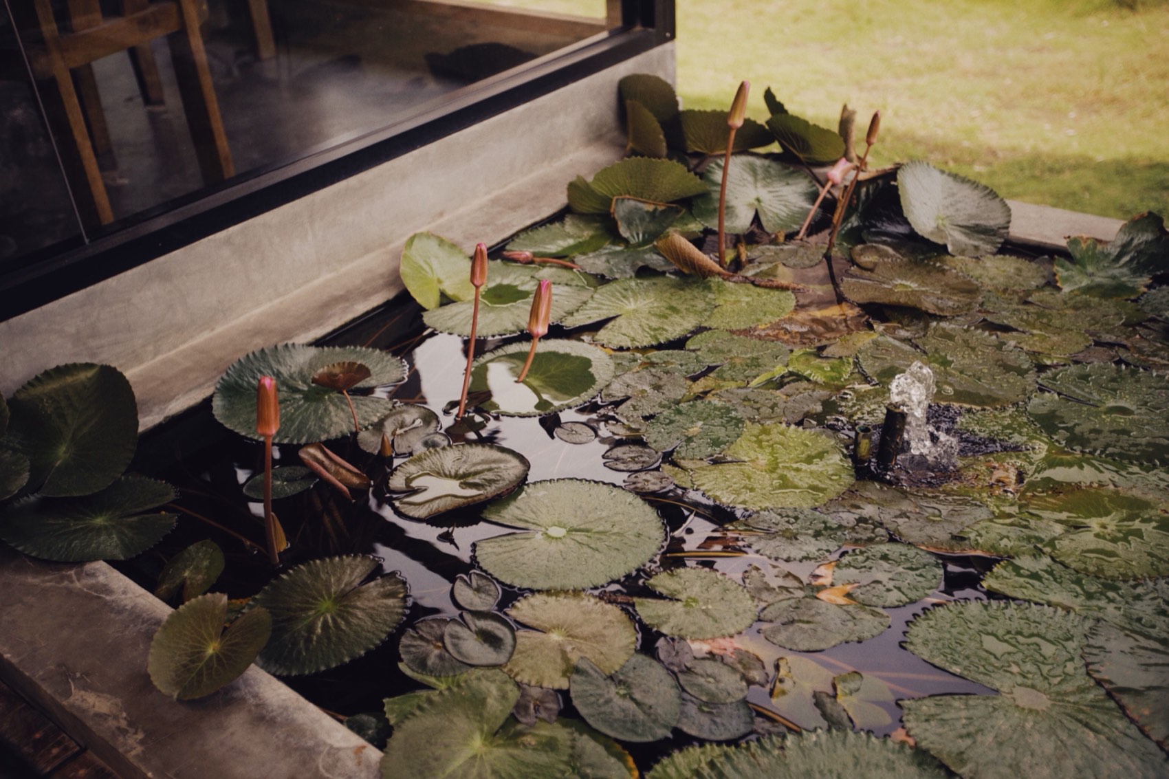 When You Need Custom Pond Design & Construction