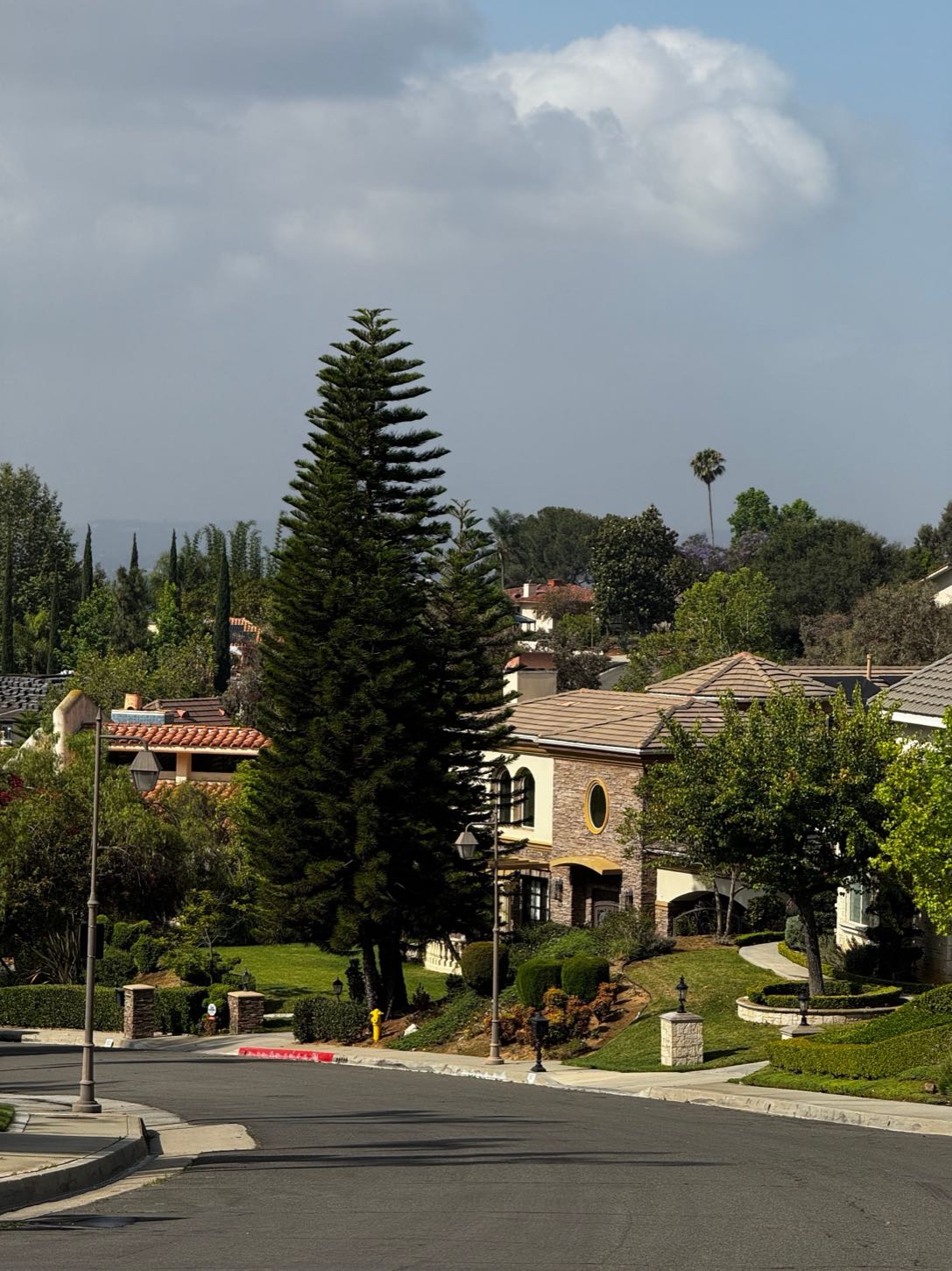 Pond Builder in Tarzana, CA